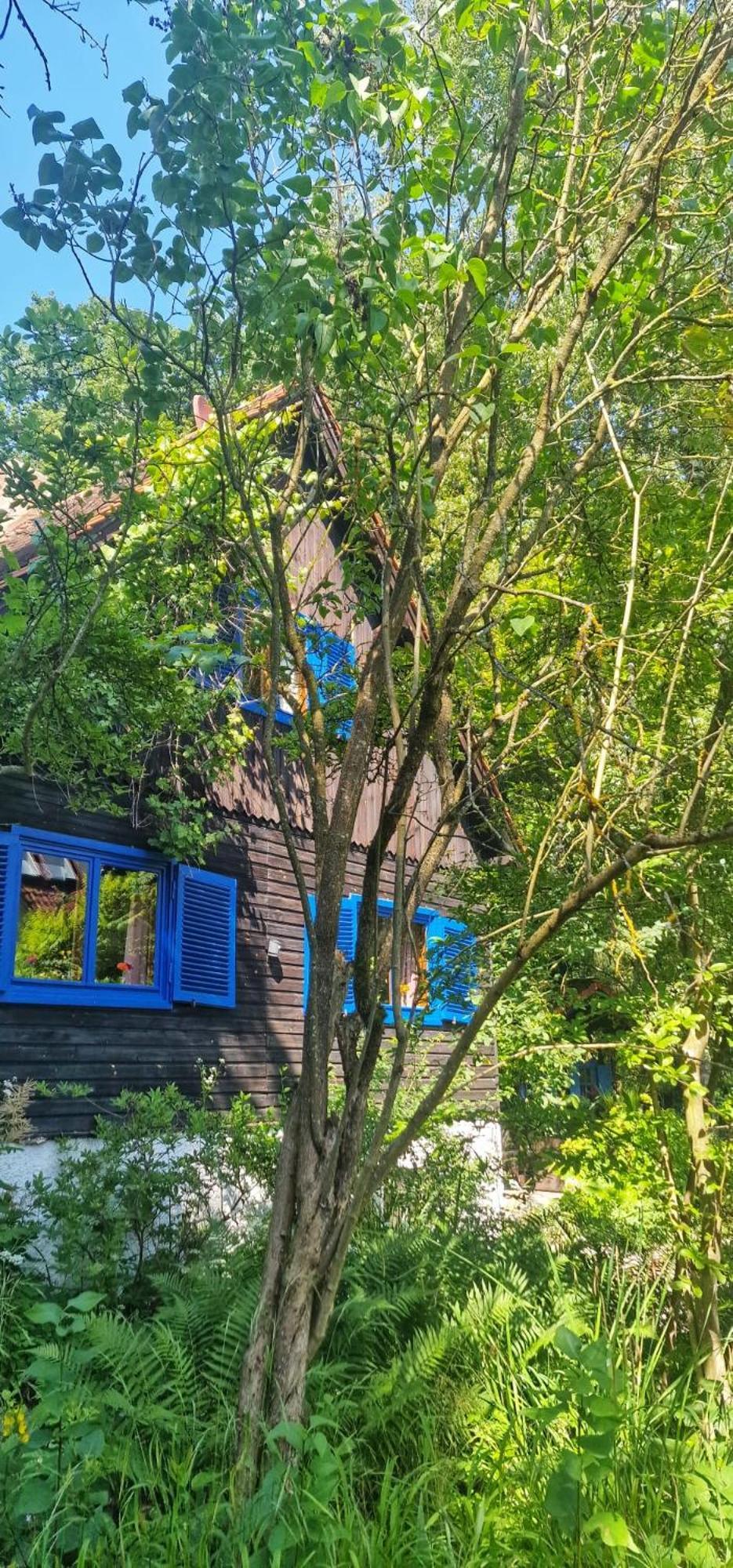 Forsthaus Sommerleite Kammerstein Exteriör bild
